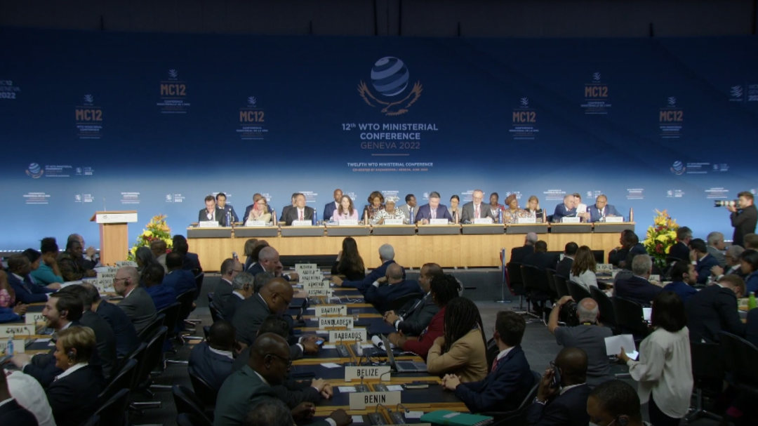 世贸组织对中国贸易政策审议边会在日内瓦召开