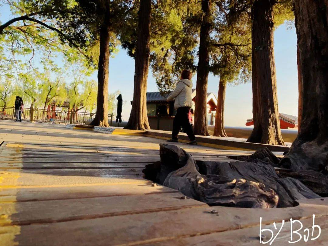 太“烧钱”！OpenAI据称今年将亏损50亿美元