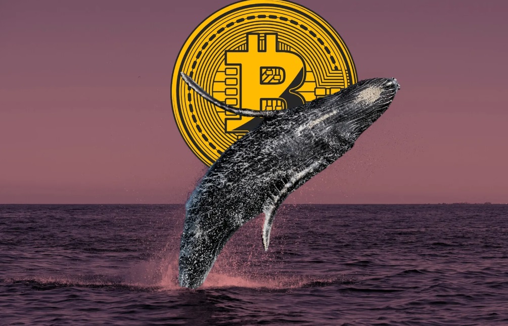 全世界被美联储虚晃一枪：激进降息幻灭 强势美元苏醒！