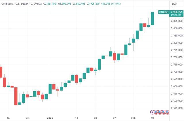 美总统特朗普宣布对美贸易伙伴征收“对等关税”