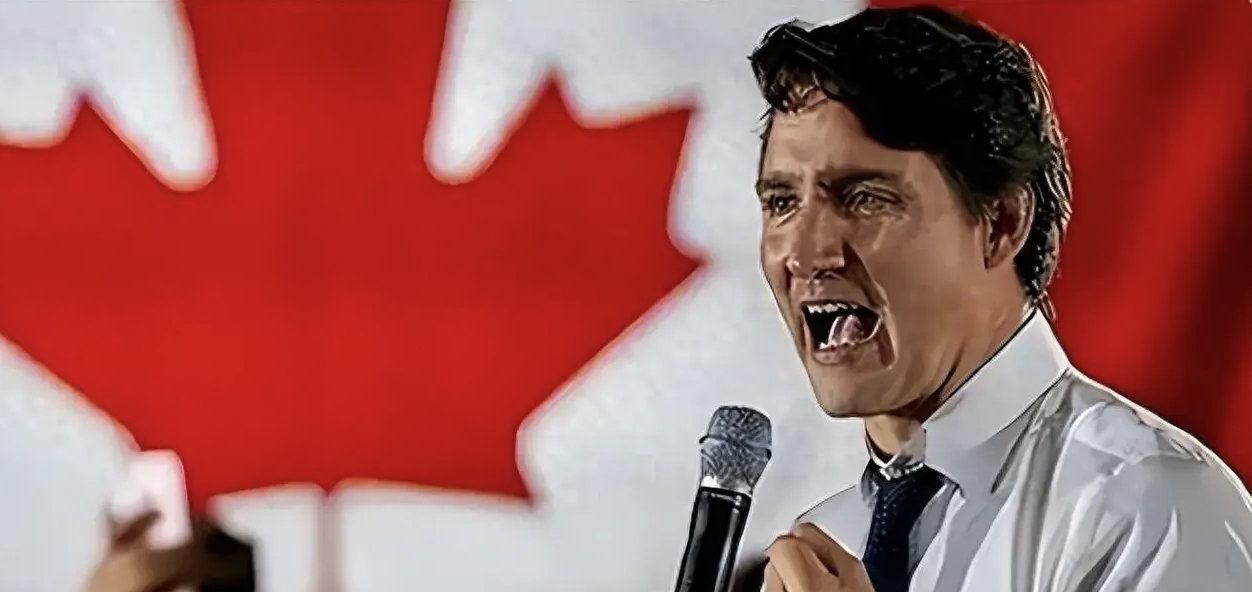 加拿大官员：若美国加征关税 将削减对美电力出口