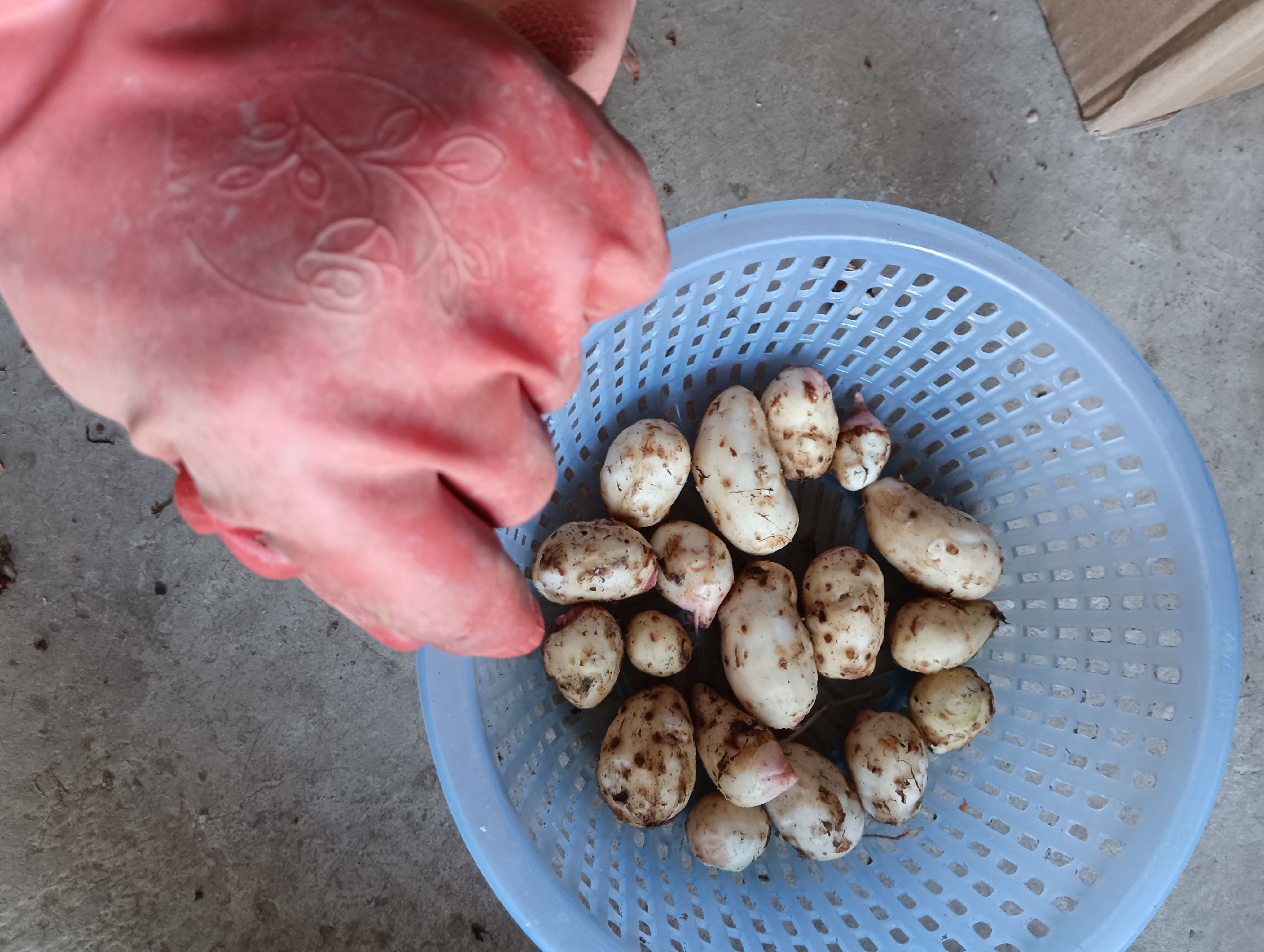 气候话题成“烫手山芋” 美企财报会议悄然“撤退”