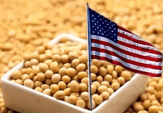 巴西总统:若向世贸组织申诉无果 将对美进行对等关税报复