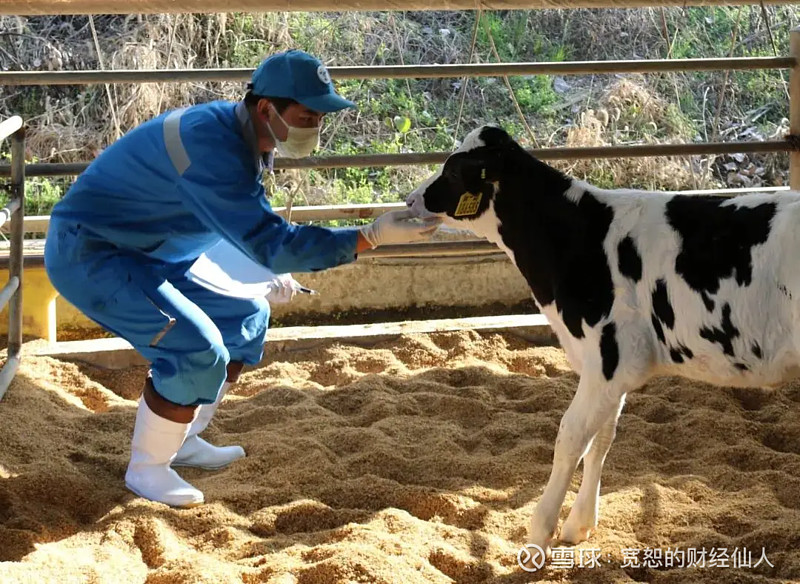 福寿园上市后首现亏损：今年上半年预亏超2.35亿元